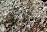 Calcite Stalactite Formation - Morocco #51835-1